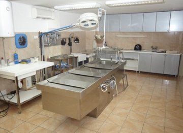 Patologie a pitva