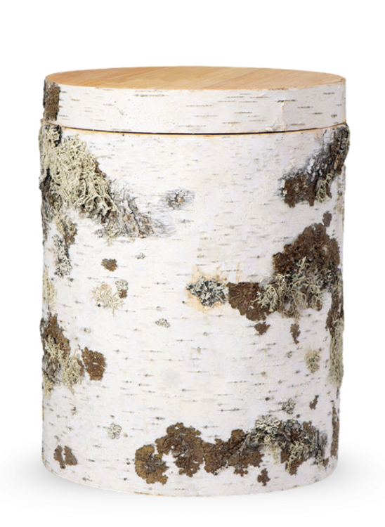 Holzurne Natur - Birke-KOPIE