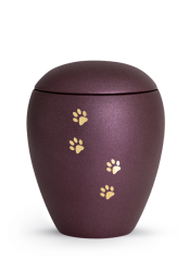 Zvířecí urna Verona Paws - Berry 2,8l