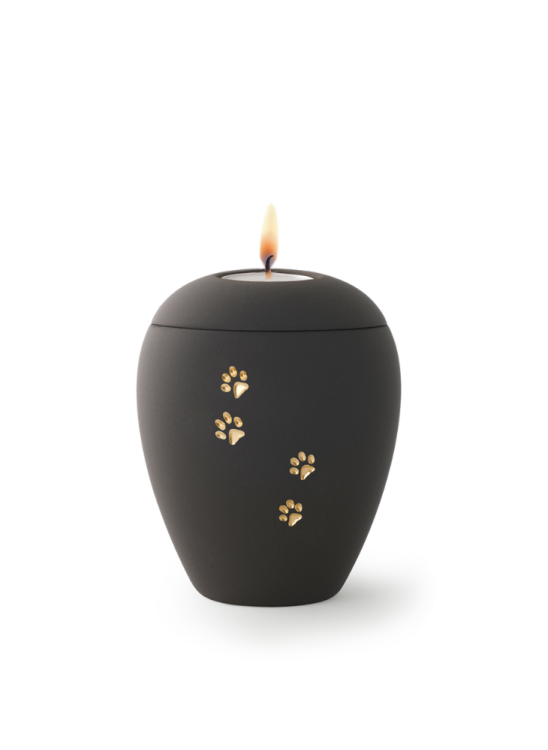 Siena Paws Tierurne mit Kerze – Graphit, 0,5 l