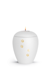 Zvířecí urna Verona Paws se svíčkou - Bílá 0,5l