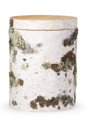 Holzurne Natur - Birke-KOPIE