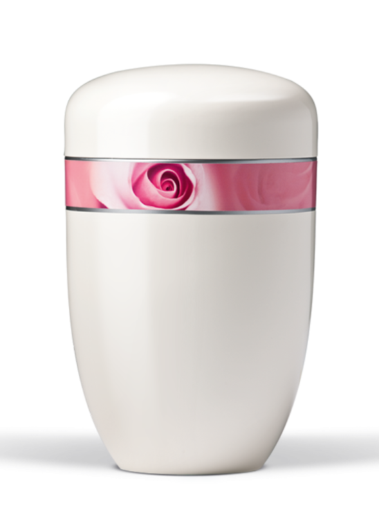 Metallurne Royal White, Rosenblüte