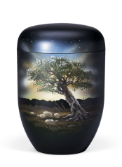 Ekologická urna Malba, olivovník