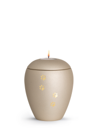 Zvířecí urna Verona Paws se svíčkou - Champagne 0,5l