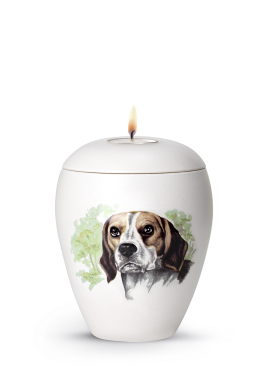 Zvířecí urna Bianco se svíčkou - Beagle 1,5l