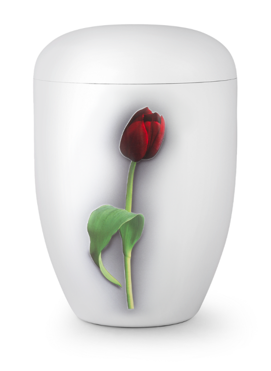 Ekologická urna Fleur Blanche, tulipán