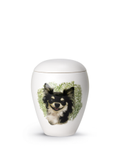 Tierurne Bianco - Chihuahua 0,5l