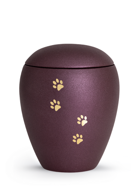 Zvířecí urna Verona Paws - Berry 2,8l