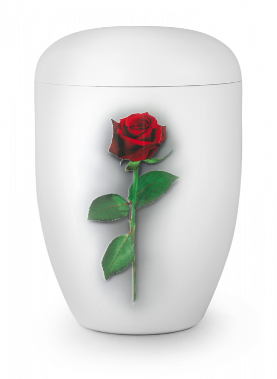 Ekologická urna Fleur Blanche, růže