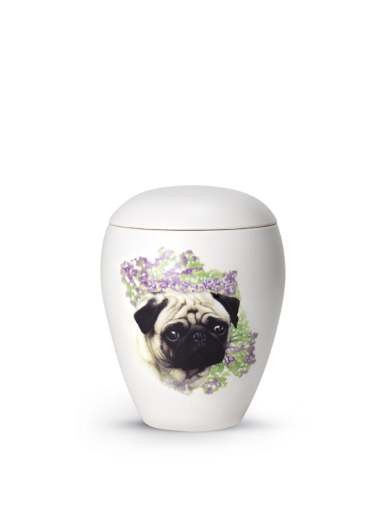 Zvířecí urna Bianco - Mops 0,5l