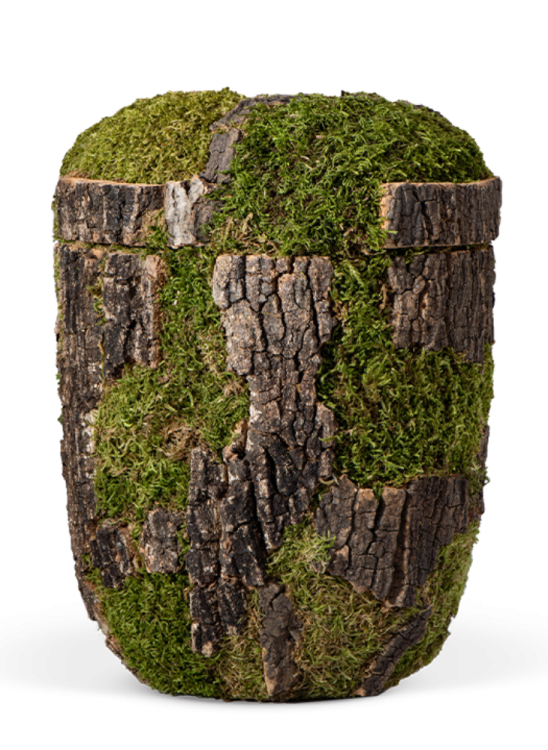 Ekologická urna Tree Look, dub