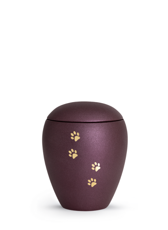 Zvířecí urna Verona Paws - Berry 0,5l