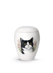 Tierurne Bianco - Katze 0,5l
