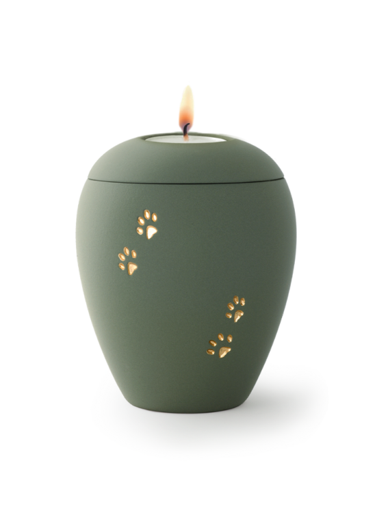Zvířecí urna Siena Paws se svíčkou - Olivová 1,5l