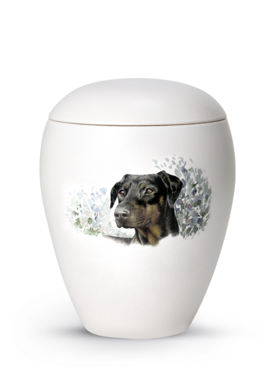 Zvieracia urna Bianco - Doberman 2,8l