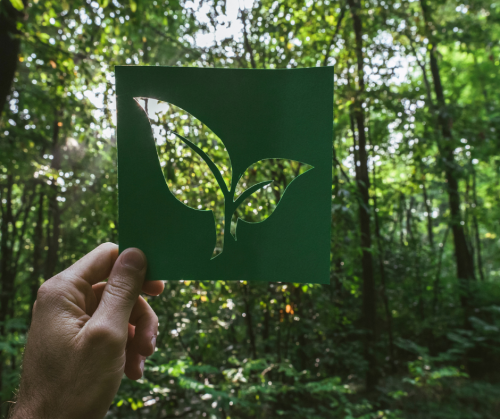 Prečo dať prednosť ekologickým urnám a aké sú ich výhody?