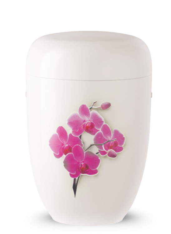 Ekologická urna Amaris - Krémová/Orchidea