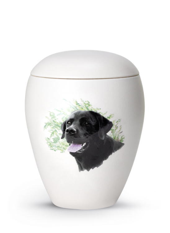 Zvířecí urna Bianco - Labrador 2,8l