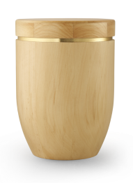 Holzurne Stella, Natur