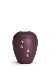 Zvířecí urna Verona Paws so svíčkou - Berry 0,5l