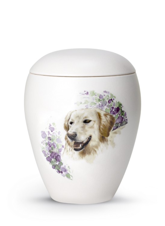 Zvieracia urna Bianco - Zlatý retriever 2,8l