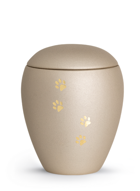 Zvířecí urna Verona Paws - Champagne 2,8l