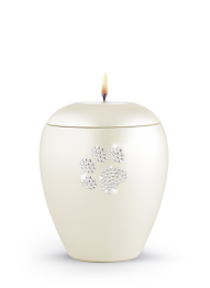 Zvířecí urna Crystal Paw se svíčkou - Champagne 1,5l