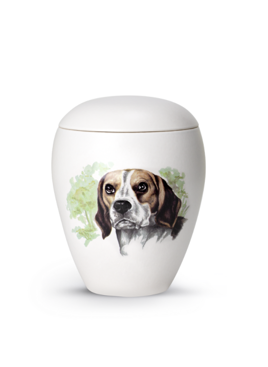 Zvířecí urna Bianco - Beagle 1,5l