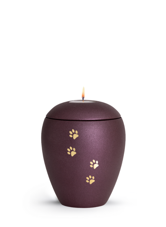 Zvířecí urna Verona Paws se svíčkou - Berry 0,5l