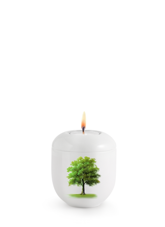 Miniurna ceramiczna  Silva  - Klon letni