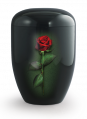 Ekologická urna Fleur Noire, růže